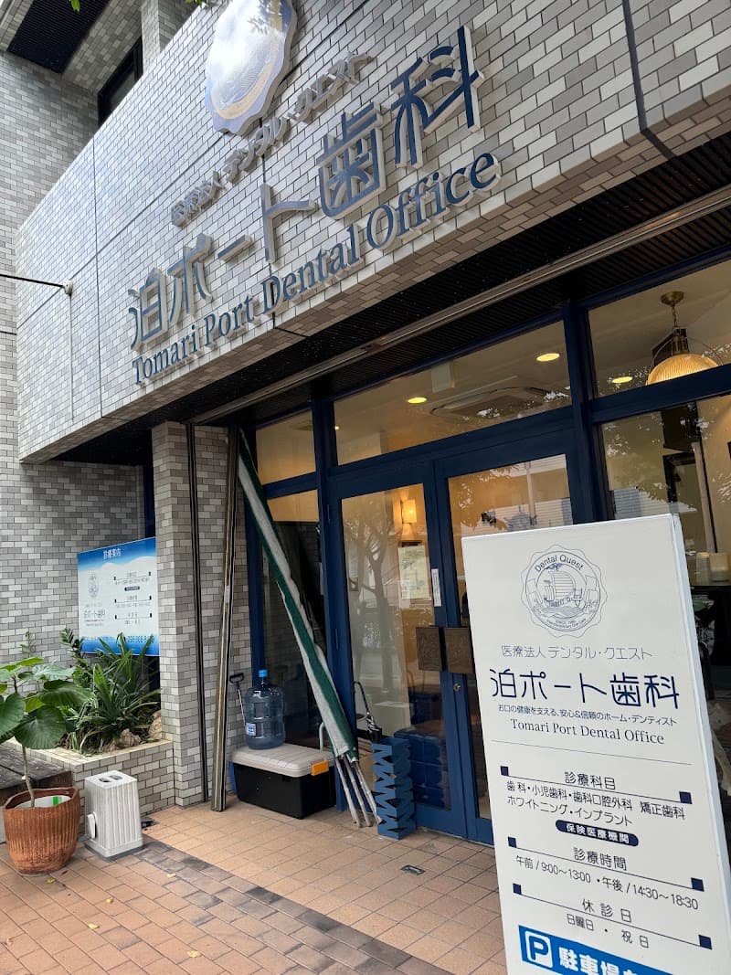 泊ポート歯科