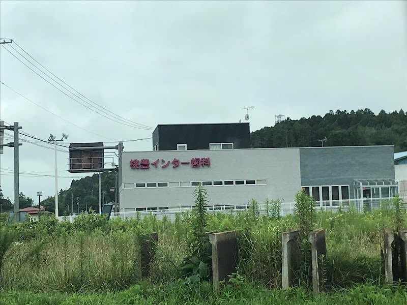 桃豊インター歯科