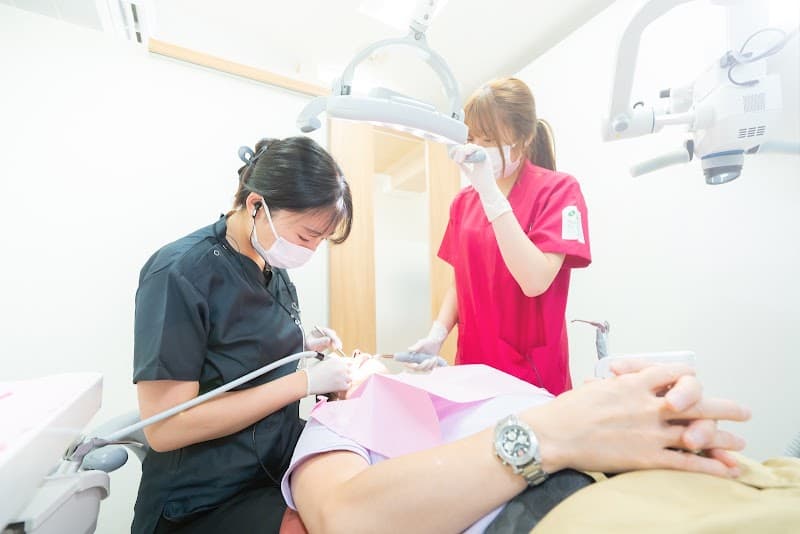医療法人フェネスト 歯科タケダクリニック 志木