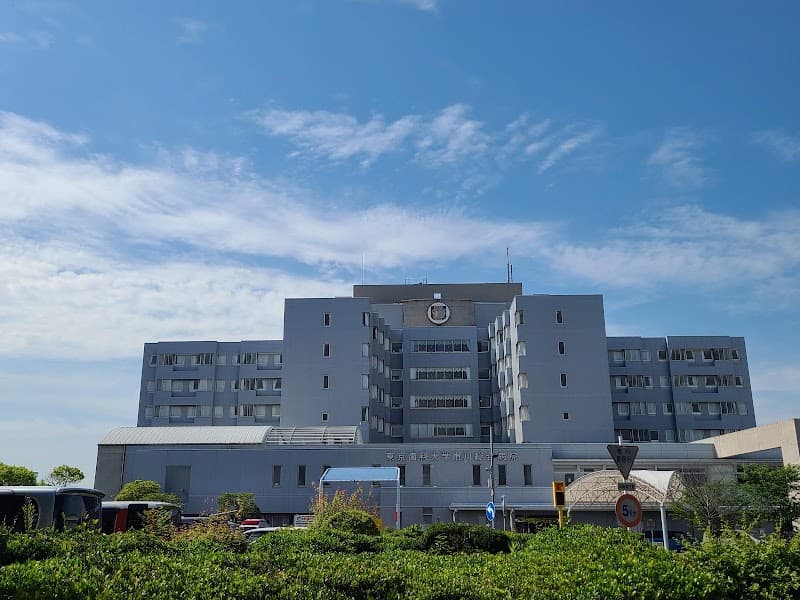 東京歯科大学市川総合病院