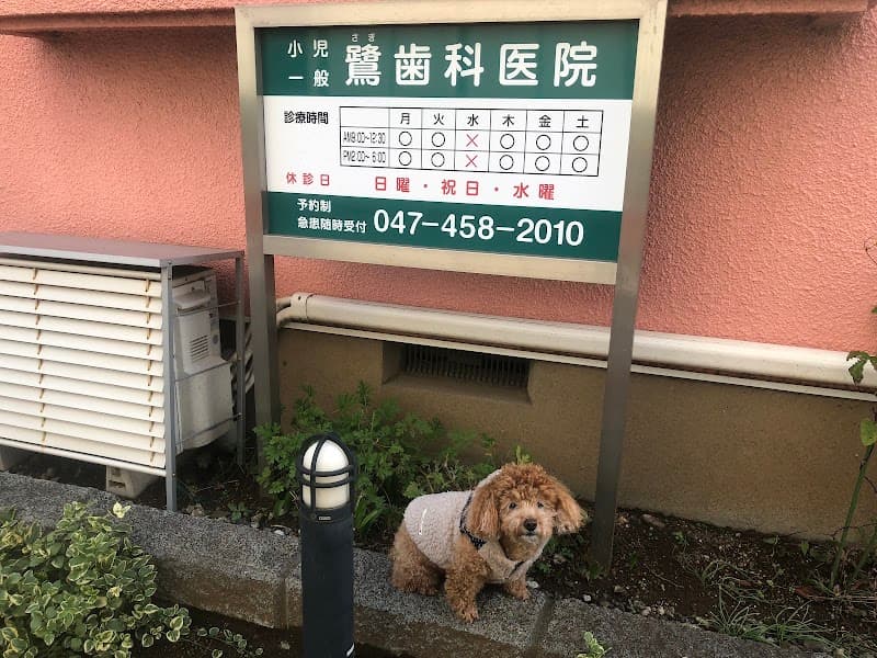 鷺歯科医院