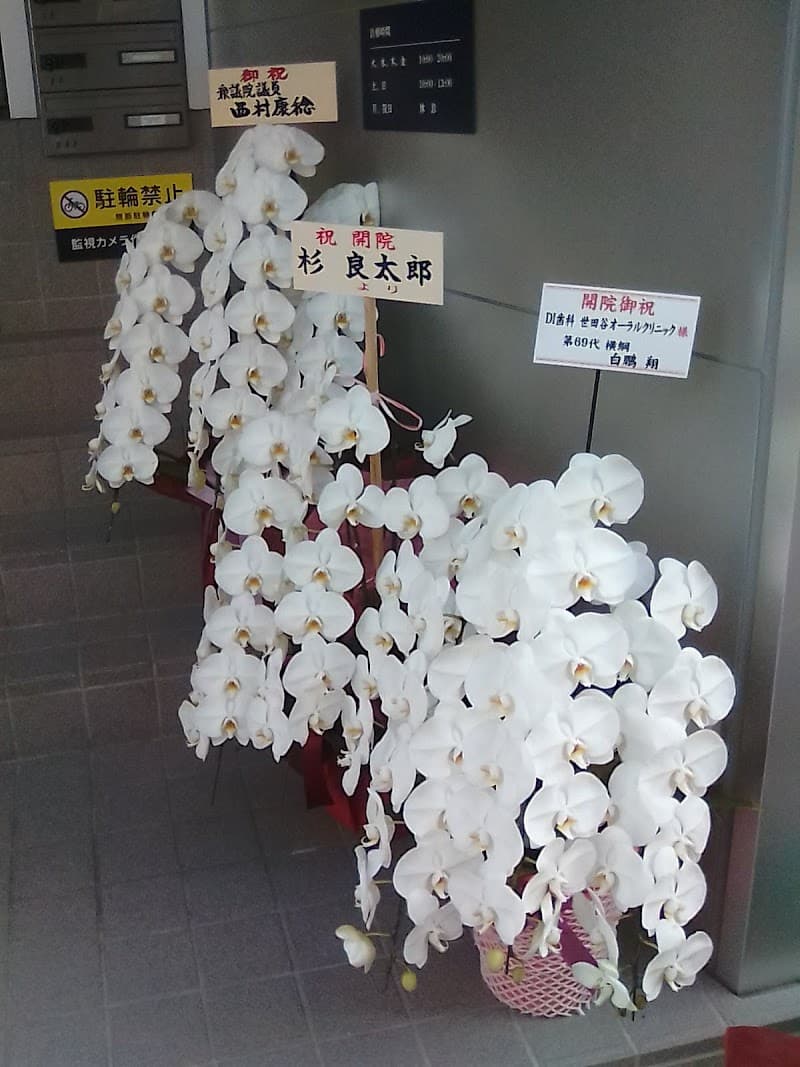 DI歯科 世田谷オーラルクリニック