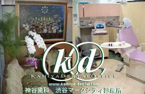 神谷歯科渋谷マークシティ診療所