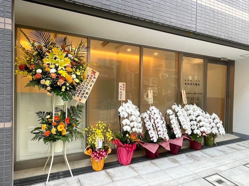 東銀座・築地 かわきた歯科