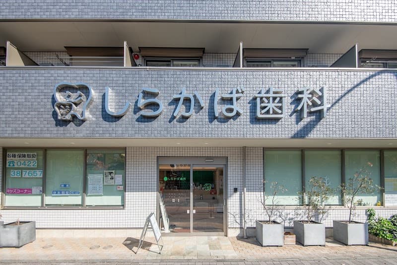 しらかば歯科