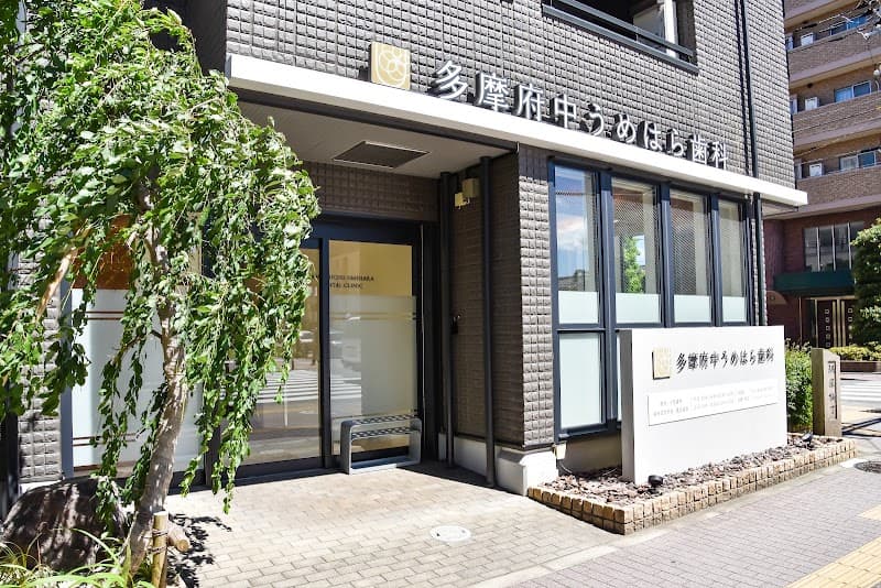 医療法人社団TFUD 多摩府中うめはら歯科
