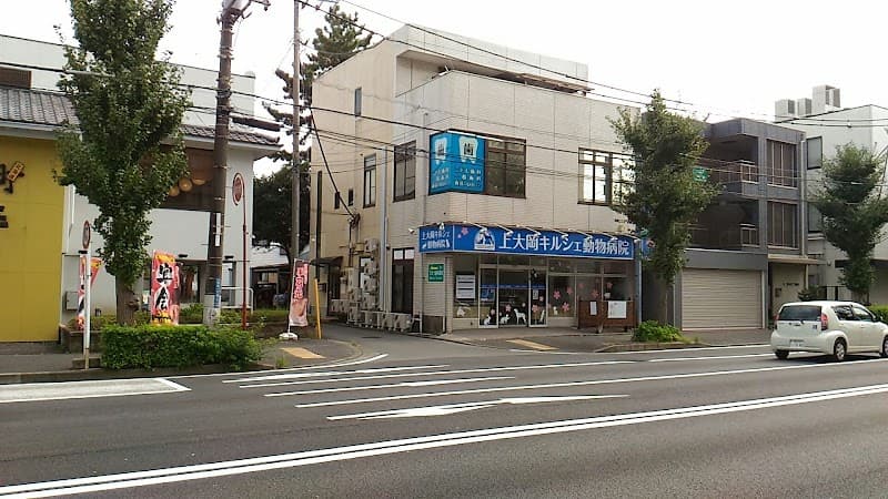 てのう歯科医院