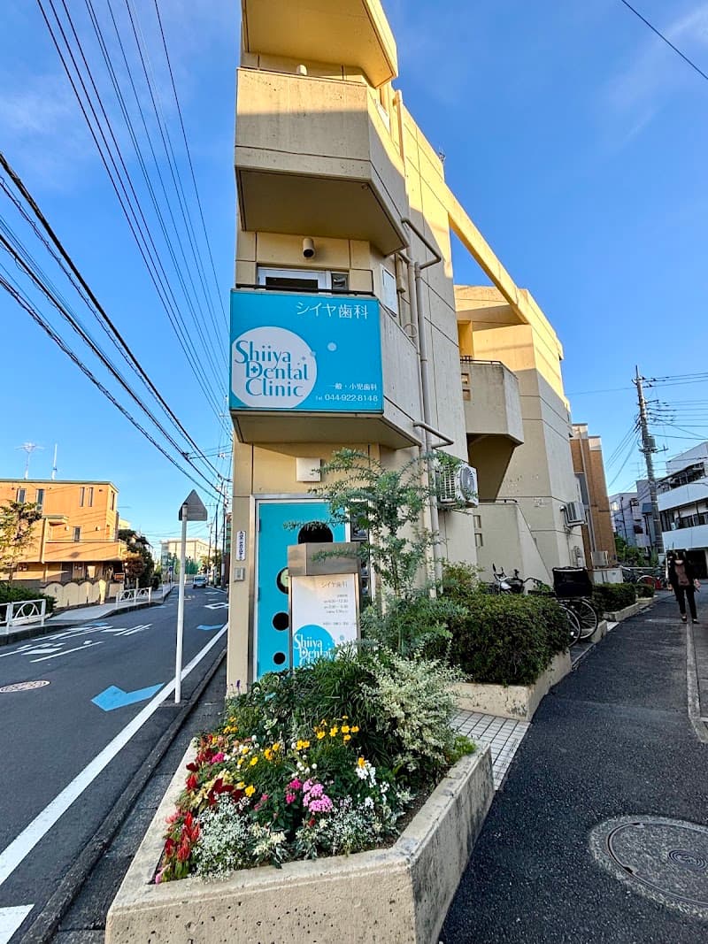 シイヤ歯科
