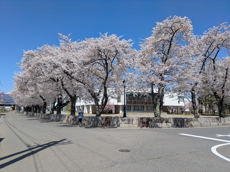 松本歯科大学病院
