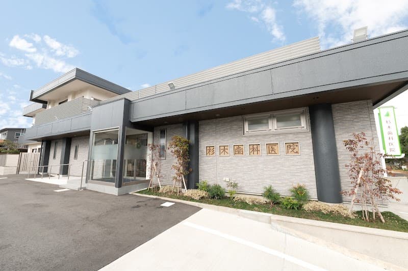 医療法人壮正会 杉木歯科医院