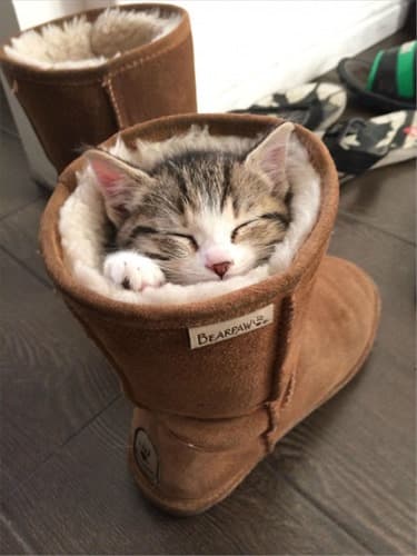 おぜき歯科クリニック