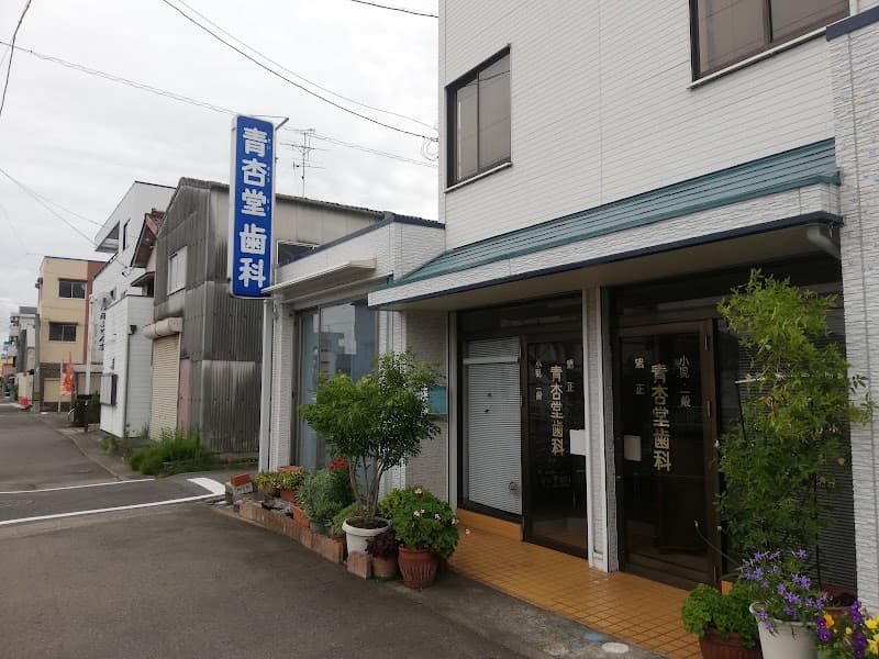 医療法人あんずの会 青杏堂歯科