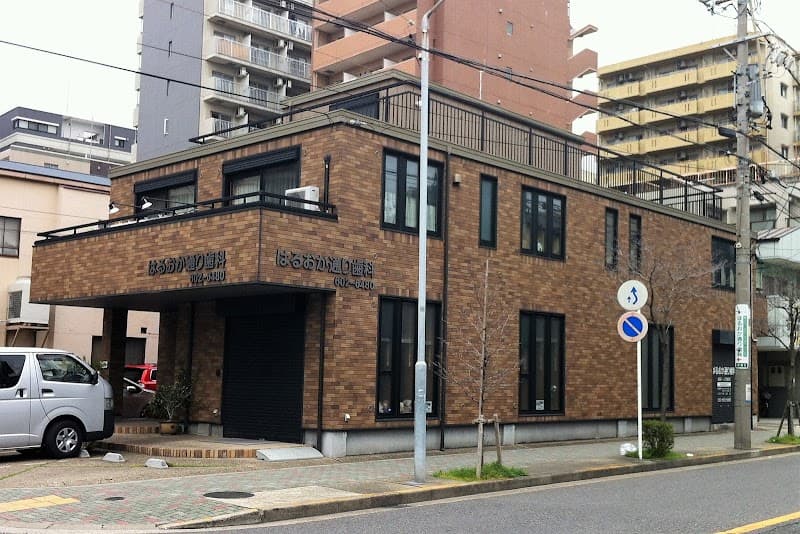 はるおか通り歯科