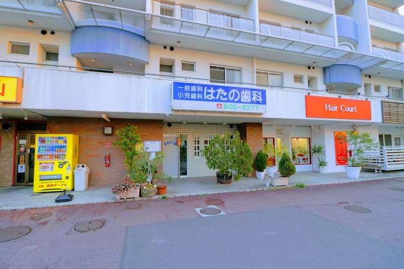 はたの歯科