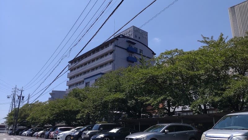 社会医療法人 居仁会 総合心療センターひなが