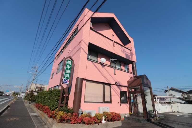橋本歯科