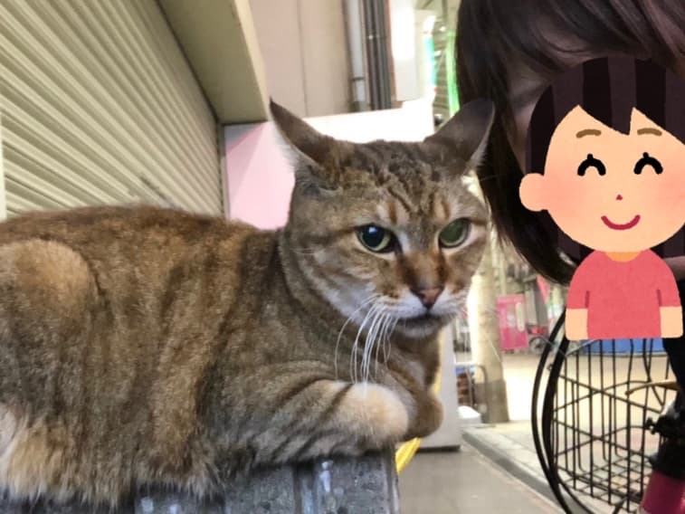 うえむら歯科