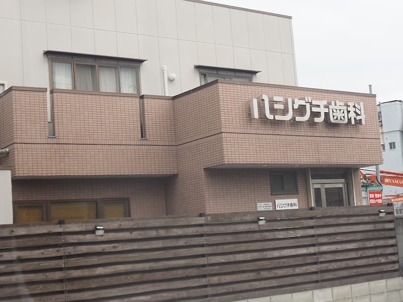 ハシグチ歯科