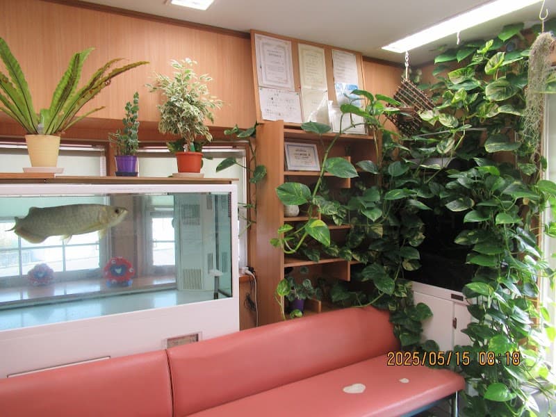 いのうえ歯科医院