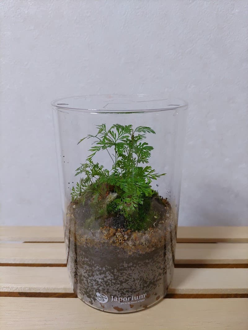 宮野歯科医院