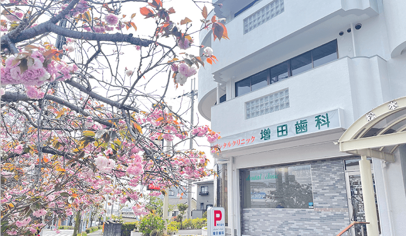 増田歯科