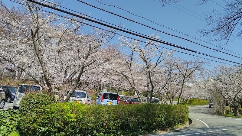 社会医療法人社団順心会順心リハビリテーション病院