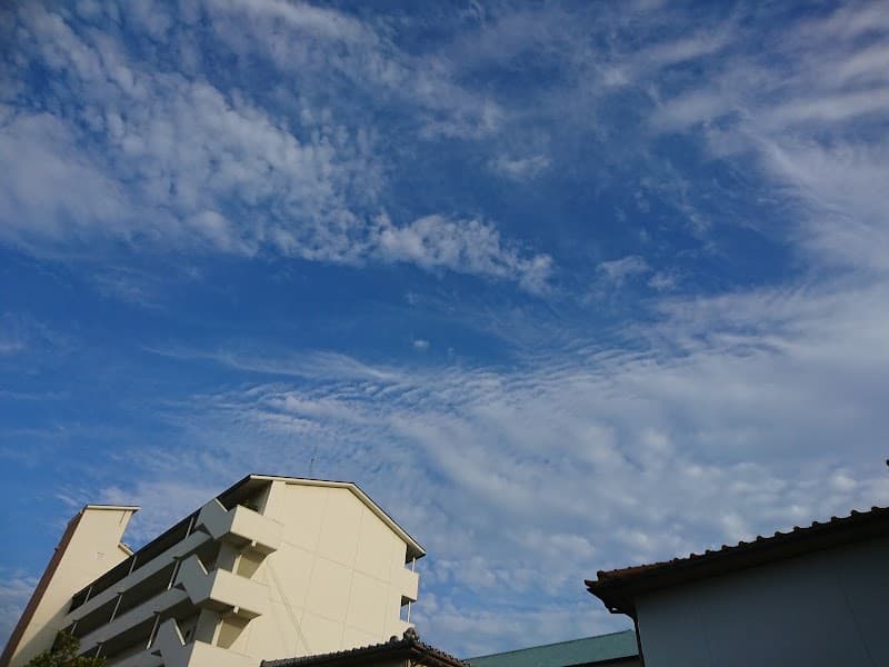 近藤歯科