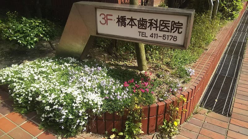橋本歯科医院