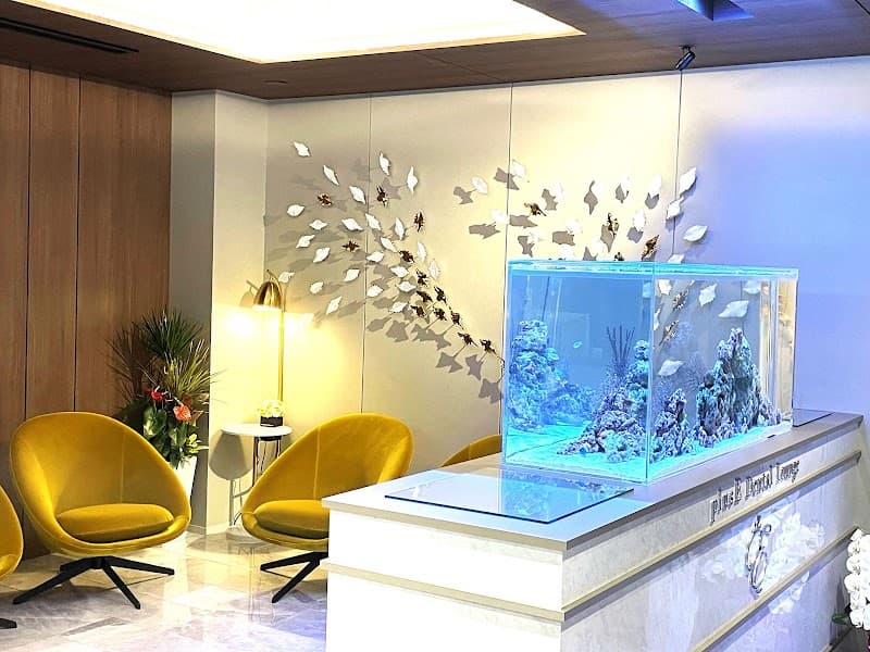 plus E Dental Lounge