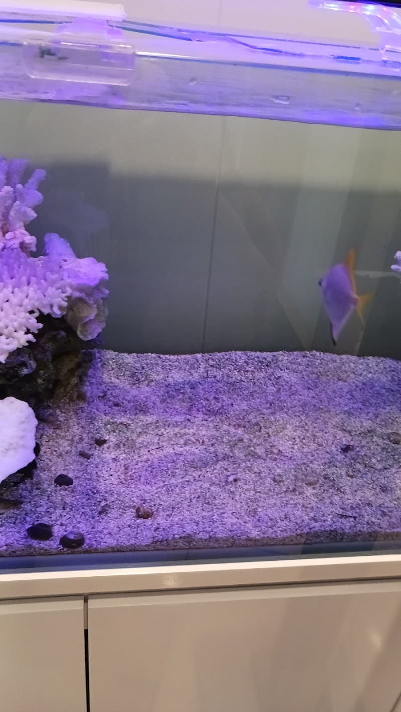 吉松歯科医院