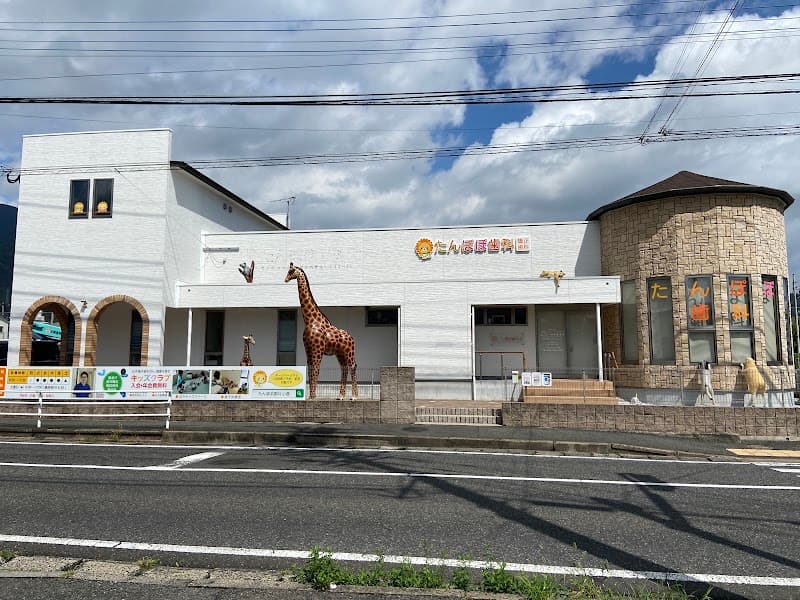 たんぽぽ歯科・矯正歯科